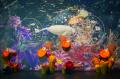 台湾の都市型水族館「Xpark」に、ネイキッドが演出を
