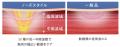 ≪市場初※1 50種類の周波数を搭載≫「icoelle（イコエル