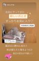 【新商品】自動車向け不織布メーカーが「ネコちゃんの