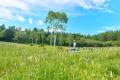 涼と花の頂へ。入笠山の“涼眺百花（りょうちょうひゃ