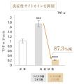【特許取得】天然アナツバメの巣エキスが、免疫の暴走