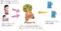 ノーコード×生成AIを利用したLP制作ツールを利用し、