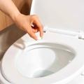 【革新的トイレケア】韓国発 ヒット商品の独占販売契
