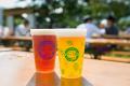クラフトビールの祭典「遠野ホップ収穫祭」開催にあわ
