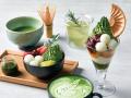 【FC募集開始！】伊右衛門カフェがフランチャイズオー