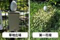 日比谷公園の「にぎわい」と「鳥の声」を見える化する