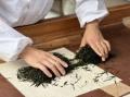 Tea Journey　～日本茶の文化と風味を楽しむ～茶葉と