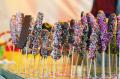 【水戸プラザホテル】ホテルが夏祭りのにぎわいに包ま