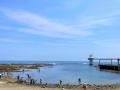 親子で海の自然を体験！ 「勝浦の海を楽しく学ぼう 磯