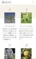 性格診断で自分にぴったりの香りがわかる!?
「1utf-8