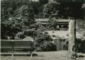 【伊豆長岡温泉 三養荘】文化財・日本庭園が舞台に、