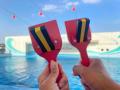 【南知多ビーチランド】夏限定！「水涼の祭」イルカシ