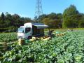 軽井沢ブランド野菜「霧下野菜」のサマーランチビュッ