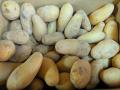 能登半島地震の寄附金を活用して学校給食で、能登の食