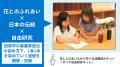 “夏休みの自由研究に！” 菊農家直伝の染め方で輪菊を