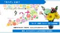 “夏休みの自由研究に！” 菊農家直伝の染め方で輪菊を