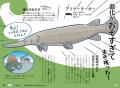 イラストとマンガで楽しく読める！『99%が運！？　絶