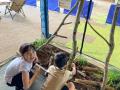 この夏、新しい体験が満載！自然と遊ぶ、家族で楽しむ