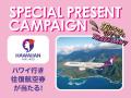 「ハワイアン航空」とPLAZAがスペシャルコラボレーシ
