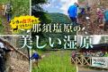 【栃木県那須塩原市】「美しい湿原の保全」と「犬猫と