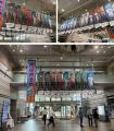 神奈川県綾瀬市期待のルーキードライバー“小出 峻(こ