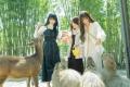 ［千葉県］動物園×グランピングの「THE BAMBOO Futf-8