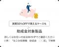 ニオイも虫も、こういうものだと思ってた。夏のキッチ