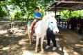 【遊園地むさしの村】遊園地でブルーベリー狩りを楽し