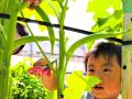 【遊園地むさしの村】遊園地でブルーベリー狩りを楽し