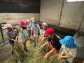 【夏休みの過ごし方】飼育員のお仕事に挑戦してみよう