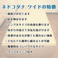 「だんぼーる本舗」は、2025年7月11日(金)より、「ネ