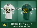 横浜ベイクレーンズ、クラウドファンディング「深緑の