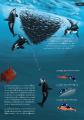 潜水船でもぐりながら海の生き物やその生態を学べる絵
