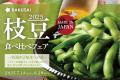 《枝豆食べ比べフェア2025》スタート！食べて、投稿！