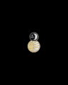 【DIOR FINE JEWELLERY】「ローズ デ ヴァン」10周年 