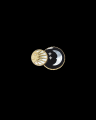 【DIOR FINE JEWELLERY】「ローズ デ ヴァン」10周年 