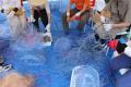 ＜イベントレポート＞下田海中水族館で「廃漁網の回収