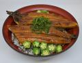 夏のワクワク詰め放題！7月19日から3日間「夏がutf-8