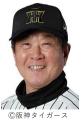 日鉄鋼板 SGLスタジアム 尼崎限定「虎風荘カレーutf-8