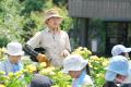 夏休み期間は子ども入園無料！豊富なアクティビティで