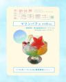 冨田伊織「新世界『透明標本』展」＆サテライト展示、