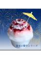 特別な夜を体感！8月2日（土）松戸花火大会2025