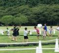 1万人以上来場する夏の風物詩「とうもろこし巨大utf-8