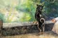 猫好きさんからの共感を呼び、発売後即重版した人気絵