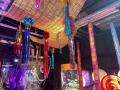 『UWS AQUARIUM GA☆KYO』夏限定イベント「夏めく金魚