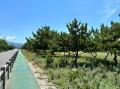 【 障害福祉 × 地域貢献 】愛媛県松山市の就労継続支