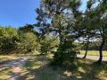 【 障害福祉 × 地域貢献 】愛媛県松山市の就労継続支