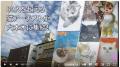 【イベント・アート】東京・猫の日イベント「東京猫美