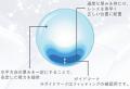 ~そのうるおいに瞳感動　水潤レンズ~「１DAYメニコン