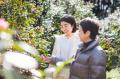 母から娘へ受け継ぐ、五島の椿の恵み。自然派リップ「